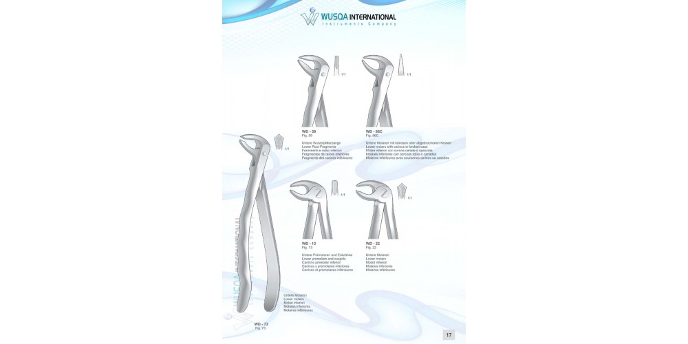 Extracting Forceps